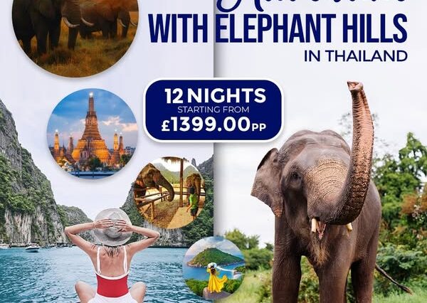 Thrill & Tranquility: Elephant Hills Adventure & Wonderful Pearl Cruise in Thailand